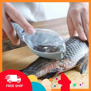 Dụng cụ lóc - đánh vảy da cá tiện dụng