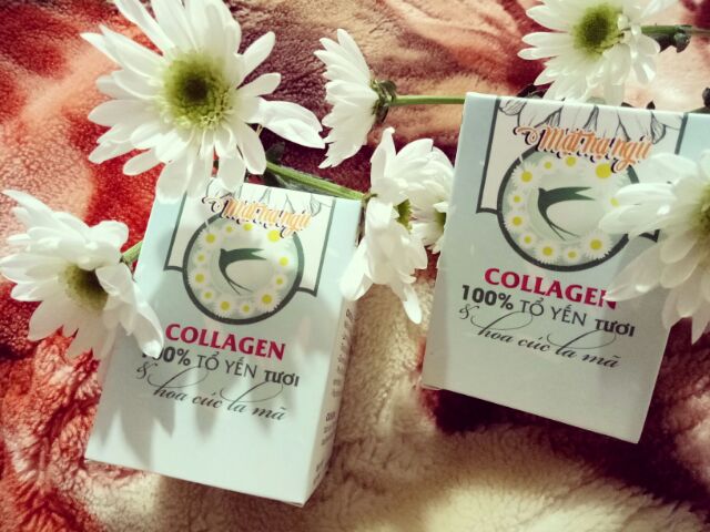 MẶT NẠ  NGỦ  COLLAGEN  TỔ  YẾN  TƯƠI  HOA  CÚC  LA  MÃ