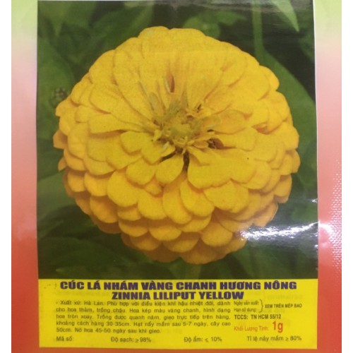 Hạt giống HOA CÚC lá nhám màu Vàng chanh - Gói 1 gram