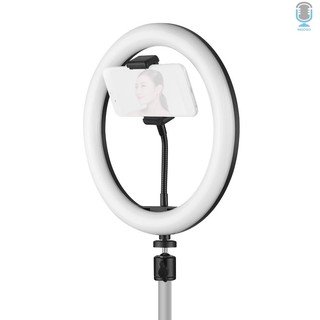 Vòng đèn led để bàn 10 inch 3 chế độ sáng có thể điều chỉnh kèm giá đỡ điện thoại đầu bi