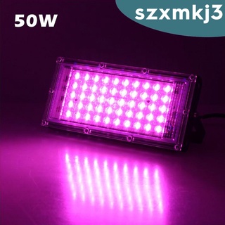 Đèn Led Trồng Cây Trong Nhà 50w / 100w Phích Cắm Eu