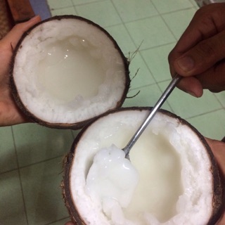 Dừa sáp