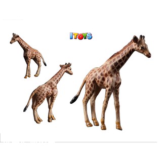 Mô hình con hươu cao cổ, động vật đẹp Itoys