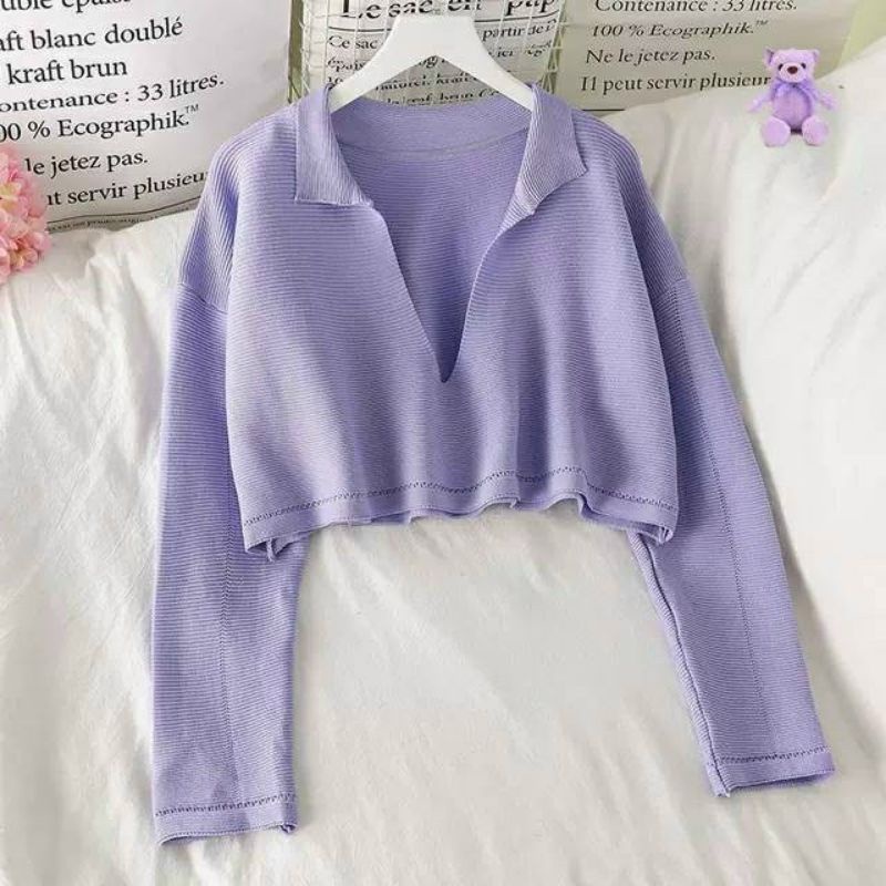 Áo thun phôm rộng Croptop Cổ V tay dài (A15)