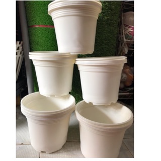 Combo 10 chậu nhựa trồng cây 15*13