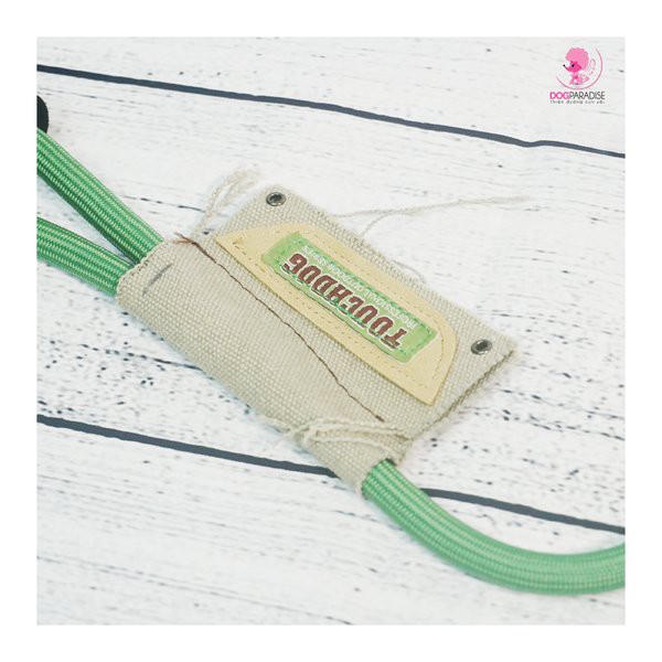 [Mã SKAMLTSM9 giảm 10% đơn 99K] Bộ dây dẫn vòng cổ chó mèo siêu chắc TOUCHDOG - Màu Lục Lam - Dog Paradise