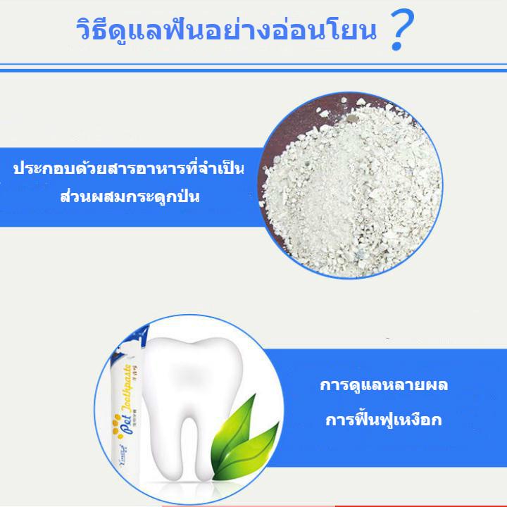 Bàn chải đánh răng thiết kế lông mềm chuyên dụng cho thú cưng