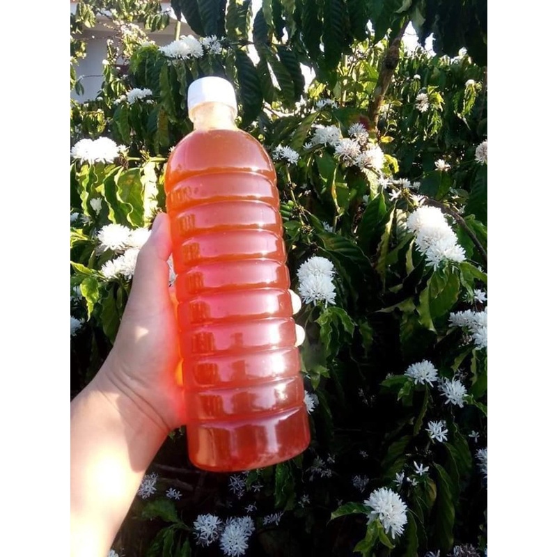 Mật ong hoa cà phê nguyên chất 100% Tây Nguyên 1000ml - chai 1.4Kg SUKADO