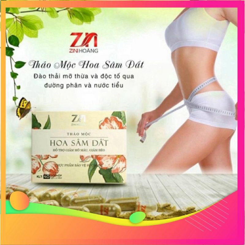 Trà thảo mộc Hoa Sâm Đất Zn