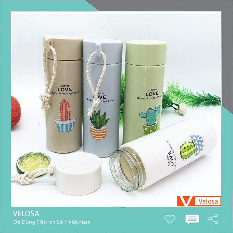 Bình nước in hình xương rồng nhiều màu 400ml Cute - Velosa