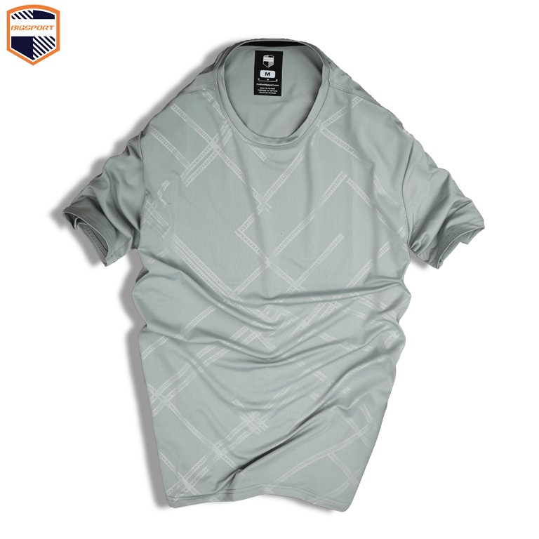 Áo Thun Nam Thể Thao Form Regular Unisex Trơn Basic Cổ Tròn Vải Poly Thun Lạnh Cao Cấp - Big Sport, BS00 | BigBuy360 - bigbuy360.vn