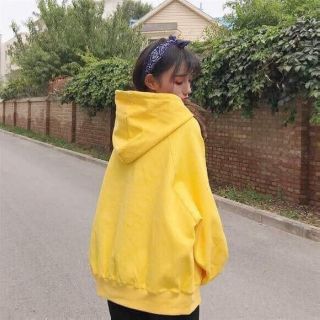 Hoodie basic / áo nỉ chui