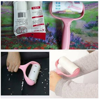Cây lăn bụi quần áo