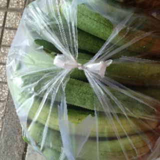 Hạt khổ qua va mướp hương