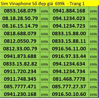 Sim số đẹp vina