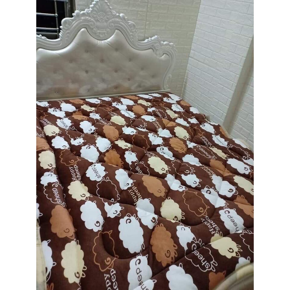 Chăn Lông Cừu Mùa Đông  Chọn Mẫu - Hàng Cao Cấp Dày Dặn 3 Lớp