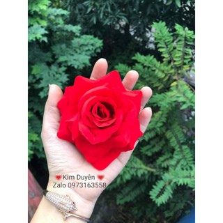 Đầu bông hoa hồng nhung lụa .
