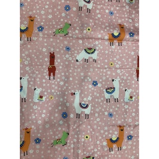 Gối nằm bông gòn tự nhiên 40x60cm