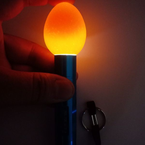 Máy Ấp Trứng Ánh Dương P100 -Tặng vitamin úm cao cấp