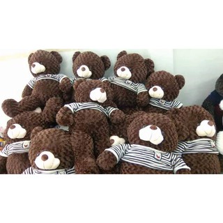 Gấu teddy áo len 1m4