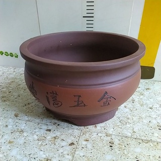 Chậu tròn Trung Quốc - Chậu Tàu - Chậu trồng cây cảnh bonsai
