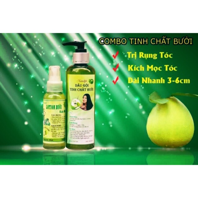 BỘ DẦU GỘI BƯỞI + TINH DẦU BƯỞI - Trị Rụng Tóc- Kích Thích Mọc Tóc NATULIFE