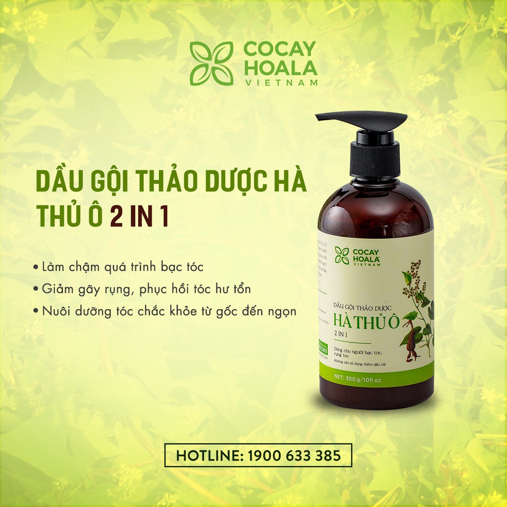 Dầu Gội Hà Thủ Ô 2in1 Giảm Rụng Tóc Bạc Tóc Cocayhoala 300g