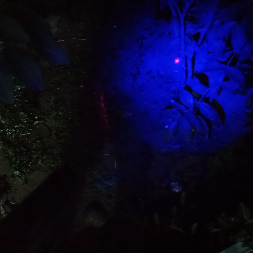 Mô hinh Xun có Laze hồng ngoại siêu to 25Cm kèm 12 viên bi Anime The Kid Soul Eater 1869