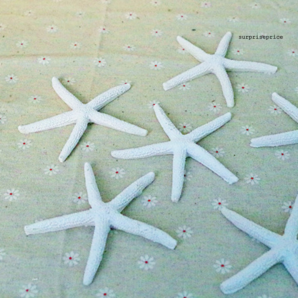 Sao Biển Nhân Tạo Bằng Nhựa Thân Thiện Với Môi Trường