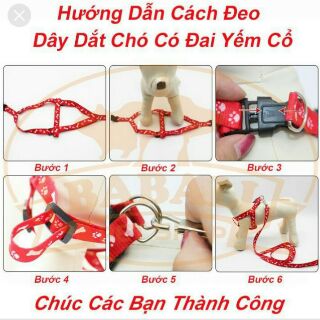Dây dắt chó mèo nhỏ