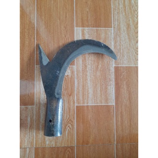 Cu liêm dựt dừa