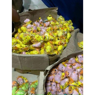 Gà nhảy vặn cót cho bé
