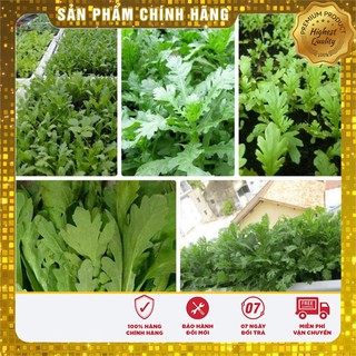 Bộ gói hạt giống Cải cúc Tẻ