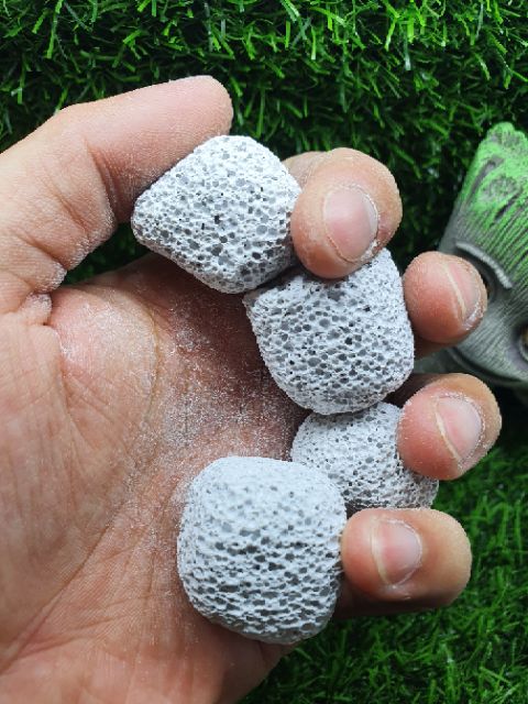 Sứ bi bầu vật liệu lọc, trang trí cho hồ cá, ổn định pH và làm nhà cho vi sinh - Guppyxanb