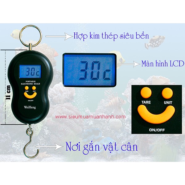 Cân Cầm Tay Mini Điện Tử