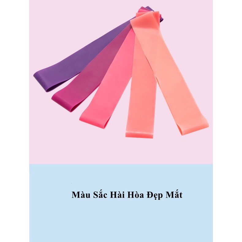 Set 5 Dây kháng lực mini Band Cao Su Đàn Hồi Tập Mông, Chân, Đùi, Gym Tại Nhà theo từng mức độ khác nhau Màu Hồng