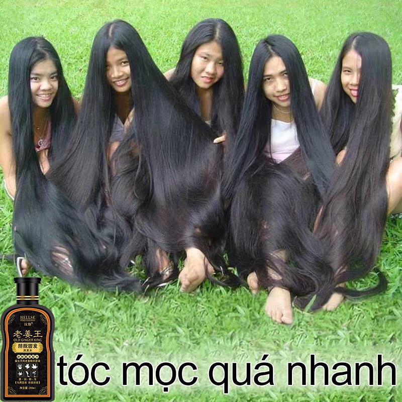 Dầu gội mọc tóc Gốc gừng dầu gội đầu thúc đẩy mọc tóc và chống rụng tóc ，giải quyết vấn đề rụng tóc và làm mọc tóc ，nuôi