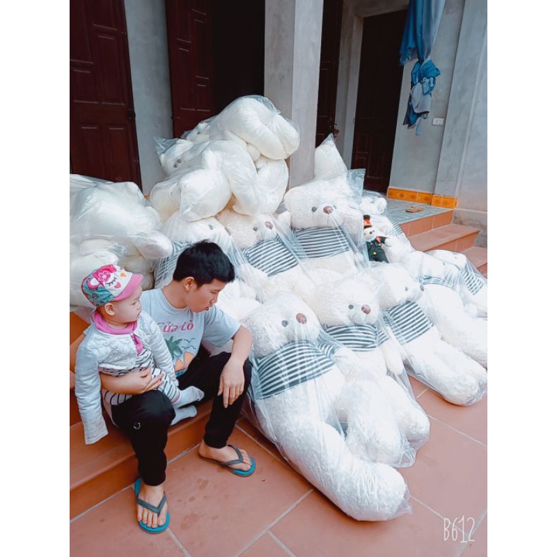 gấu bông teddy