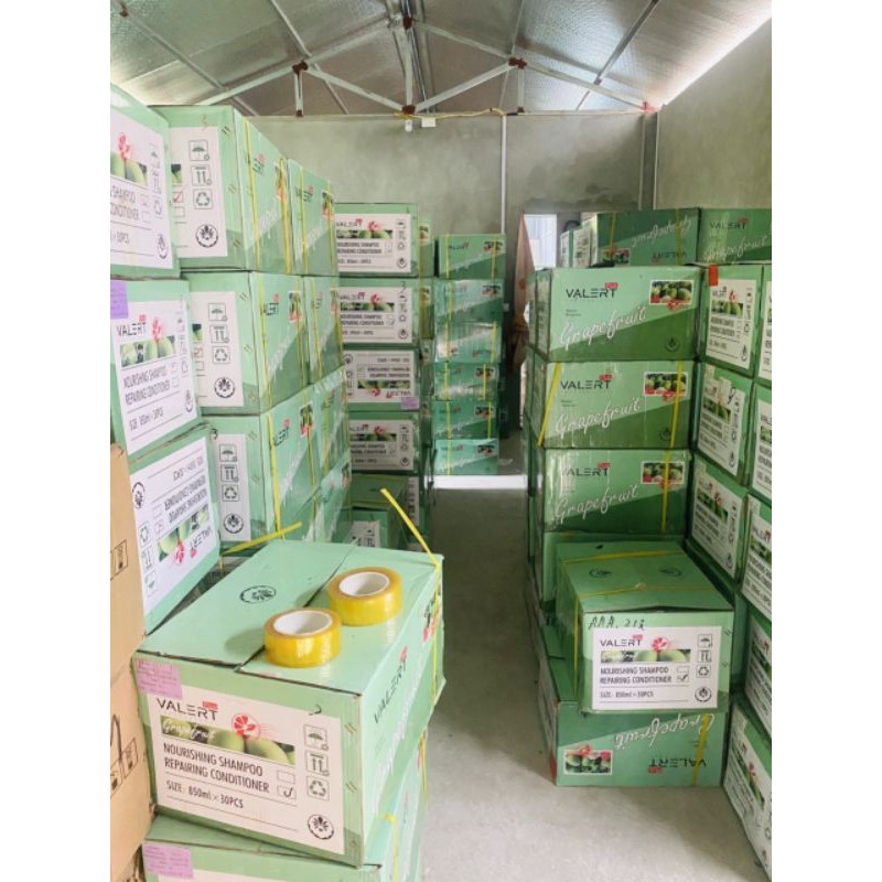Cặp Dầu Gội , Dầu Xả Bưởi Grape Fruit Mẫu Cũ + Mẫu Mới | BigBuy360 - bigbuy360.vn