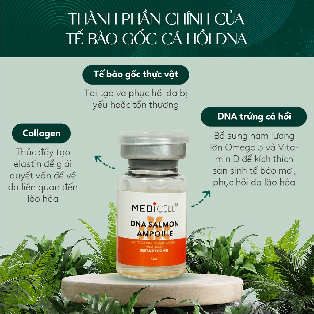 Tế bào gốc DNA cá hồi Medicell, dưỡng trắng căng bóng da, tái tạo da mụn da sẹo, se khít lỗ chân lông - Hộp 10 lọ