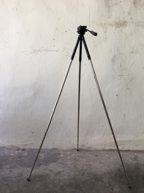 Tripod Minette Nhật bãi