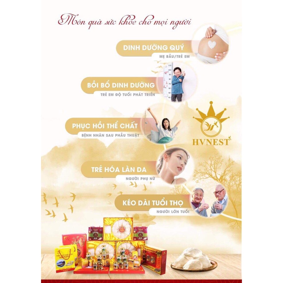 Tổ Yến chưng Táo hạt sen, Yến sào Hoàng Việt, Bồi bổ sức khỏe tăng cường sức đề kháng | BigBuy360 - bigbuy360.vn