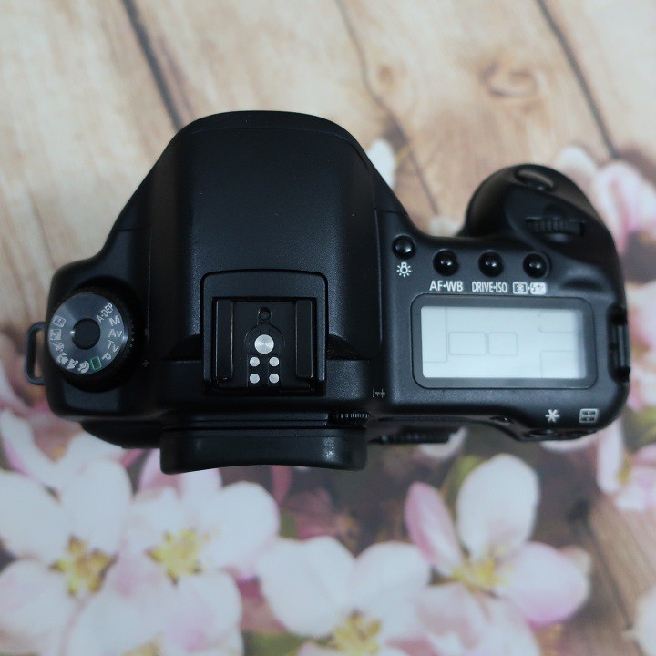 Máy ảnh Canon 10D đẹp sưu tầm hoạt động hoàn hảo