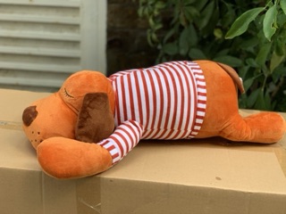 Chó mặt xệ tai dài mặc áo