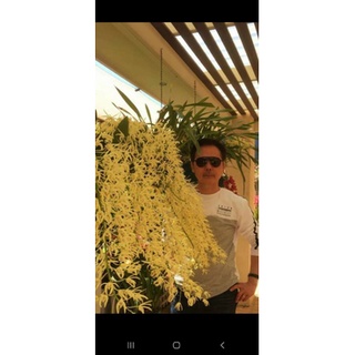 Hoàng hậu bọ cạp.