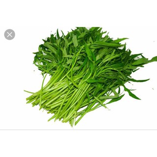 Hạt giống Rau Muống 50gram