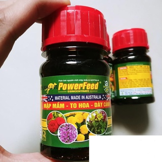 Phân cá PowerFeed Siêu đẻ nhánh, KHÔNG HÔI 100ml