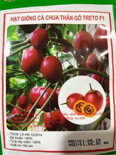 HẠT GIỐNG CÀ CHUA THÂN GỖ