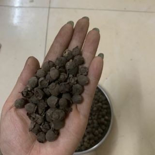 Quả sim khô 1kg
