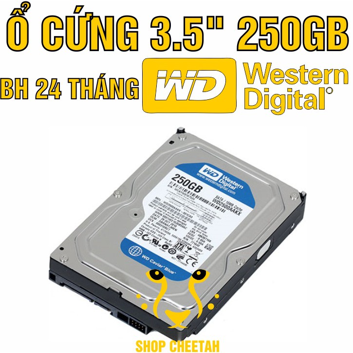 Ổ cứng 250GB Western Digital HDD 3.5” - Chính Hãng – Bảo hành 24 tháng – Tháo máy đồng bộ mới 99% - HDD WD xanh